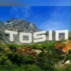 tossie79