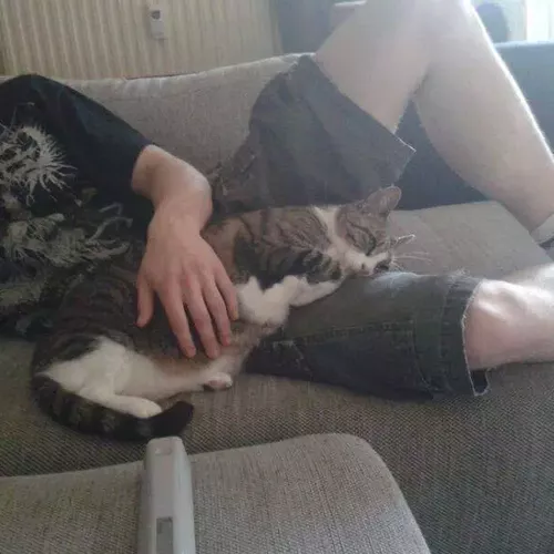 andy