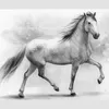 whitehorse.