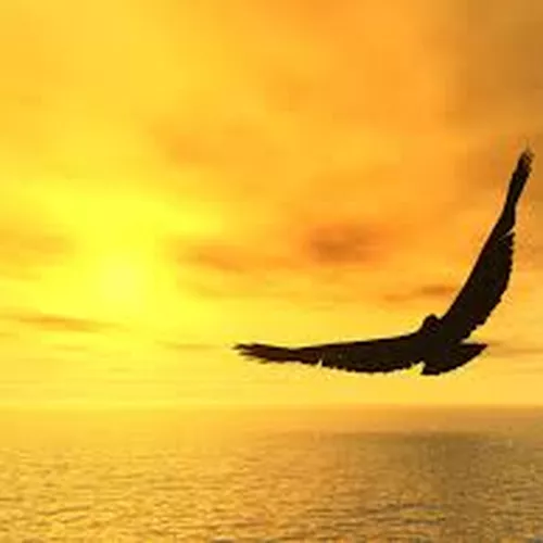 Pastor Lina DBlessed