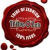 tribeozeb