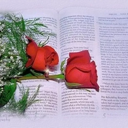 Elizabeth Tabitha Moldovan